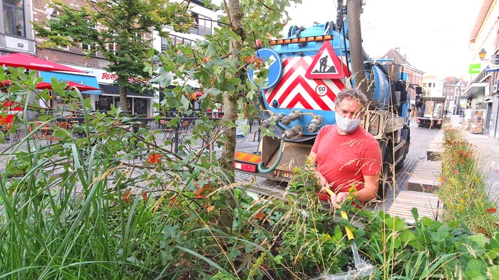Groenbeplanting water geven in stad Mechelen