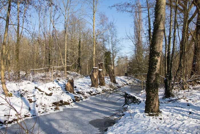 Sneeuwlandschap in Vrijbroekpark Mechelen