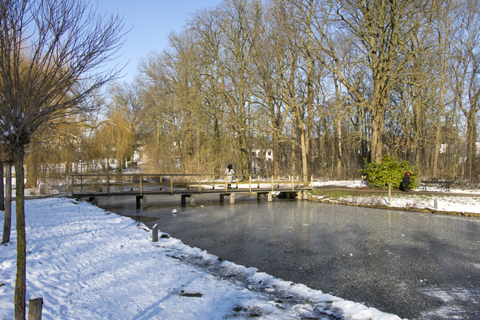 Winter in het Vrijbroekpark