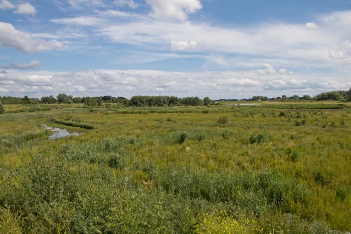 Slikken en schorren in overstromingsgebied Battenbroek Zennegat Mechelen