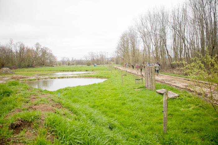 Wilgernis met poelen voor kleine waterbeestjes
Copyright Verschueren Eddy