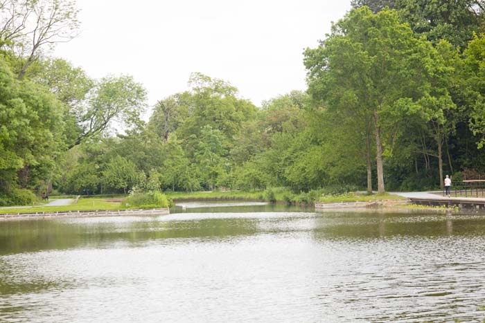 Meer zicht op beide vijvers in Vrijbroekpark