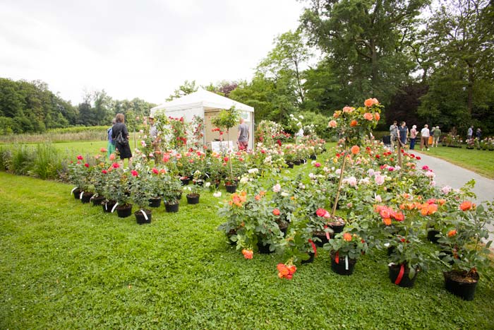 Rozenfeest in Vrijbroekpark Mechelen