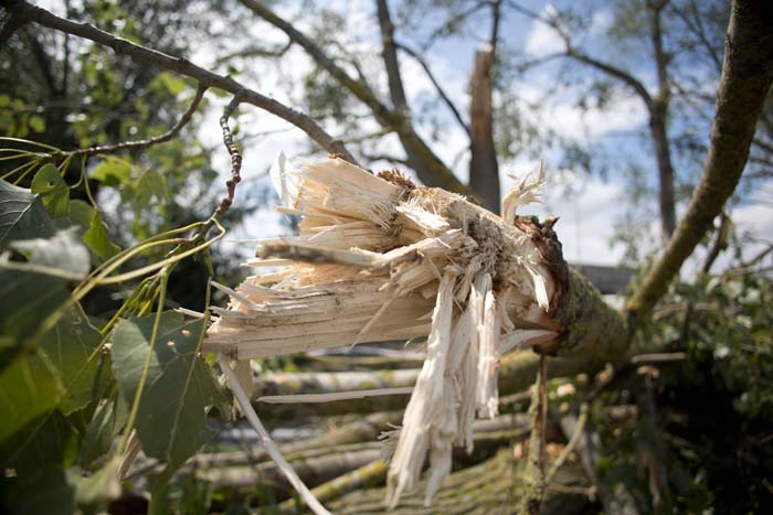 Regen en onweer trekken spoor van vernieling door Mechelen