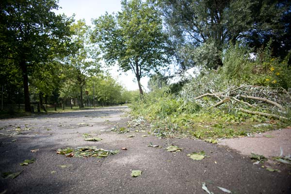 Ontwortelde bomen, takken en balderen na doortocht storm in Mechelen (België)