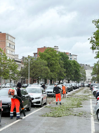 Uitvoeringsdiensten ruimen de straten op na onweersschade in Mechelen