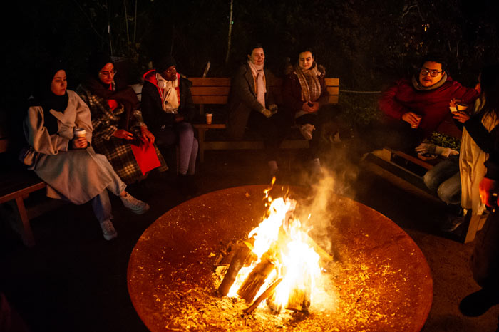 Festival de la Luz del ZOO de Planckendael