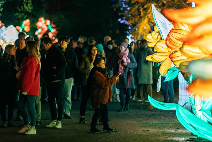 Lichtfestival "Drachen des Nordens" ZOO Planckendael (Belgien)